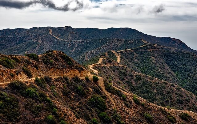 california_ california