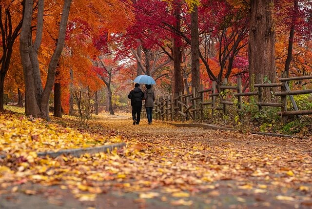 terapia de pareja otoño