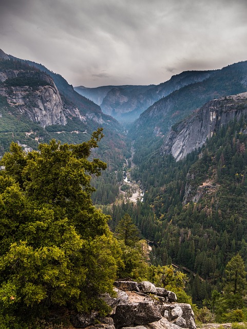 california-5069295_640 california