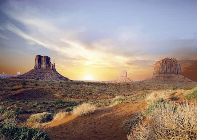 arizona arizona