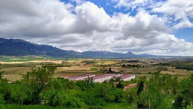 Psicologo La Rioja